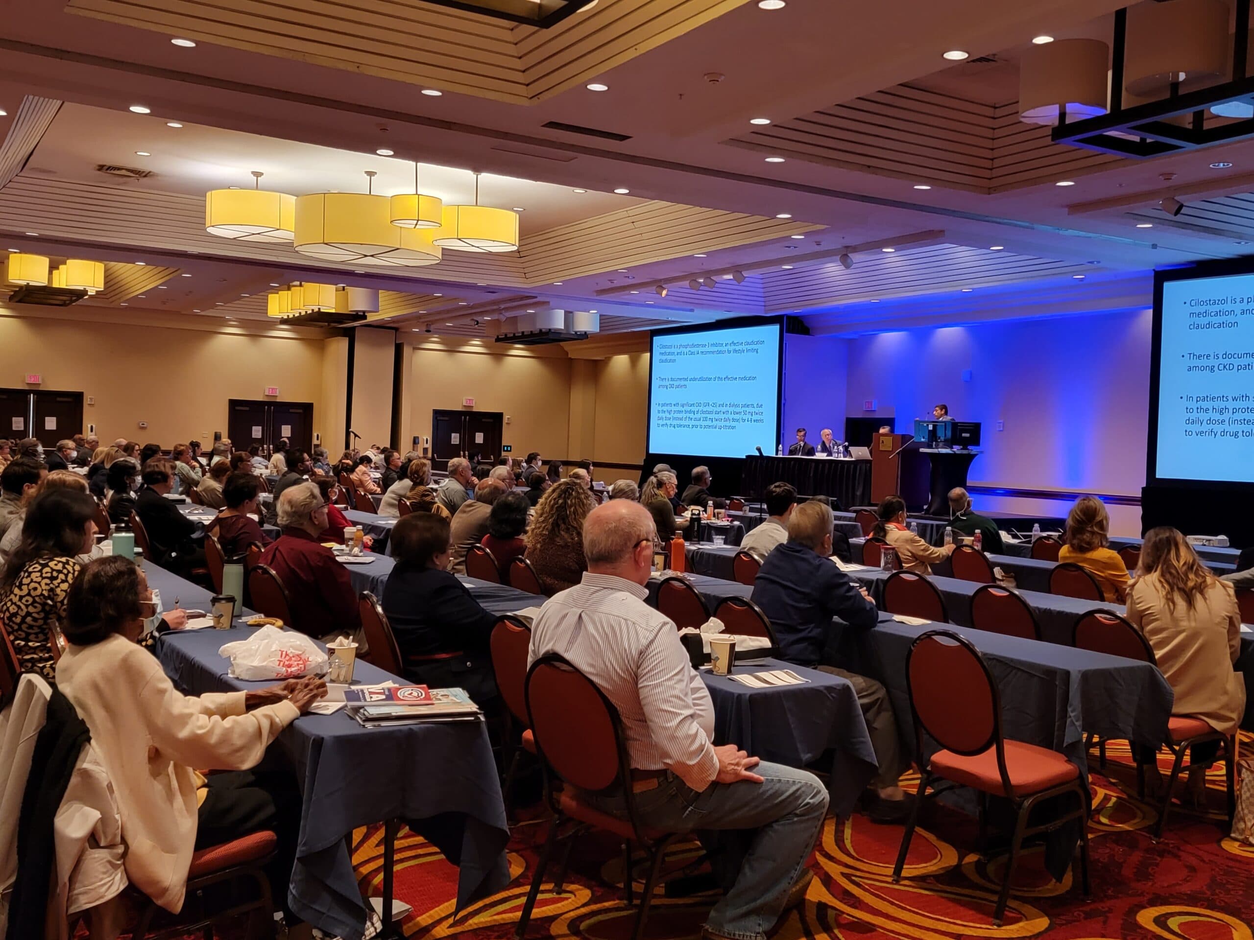 Attendees at a past VIA Symposium session